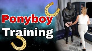 Elevate Your BDSM Experience with Zero Femdom Training!
